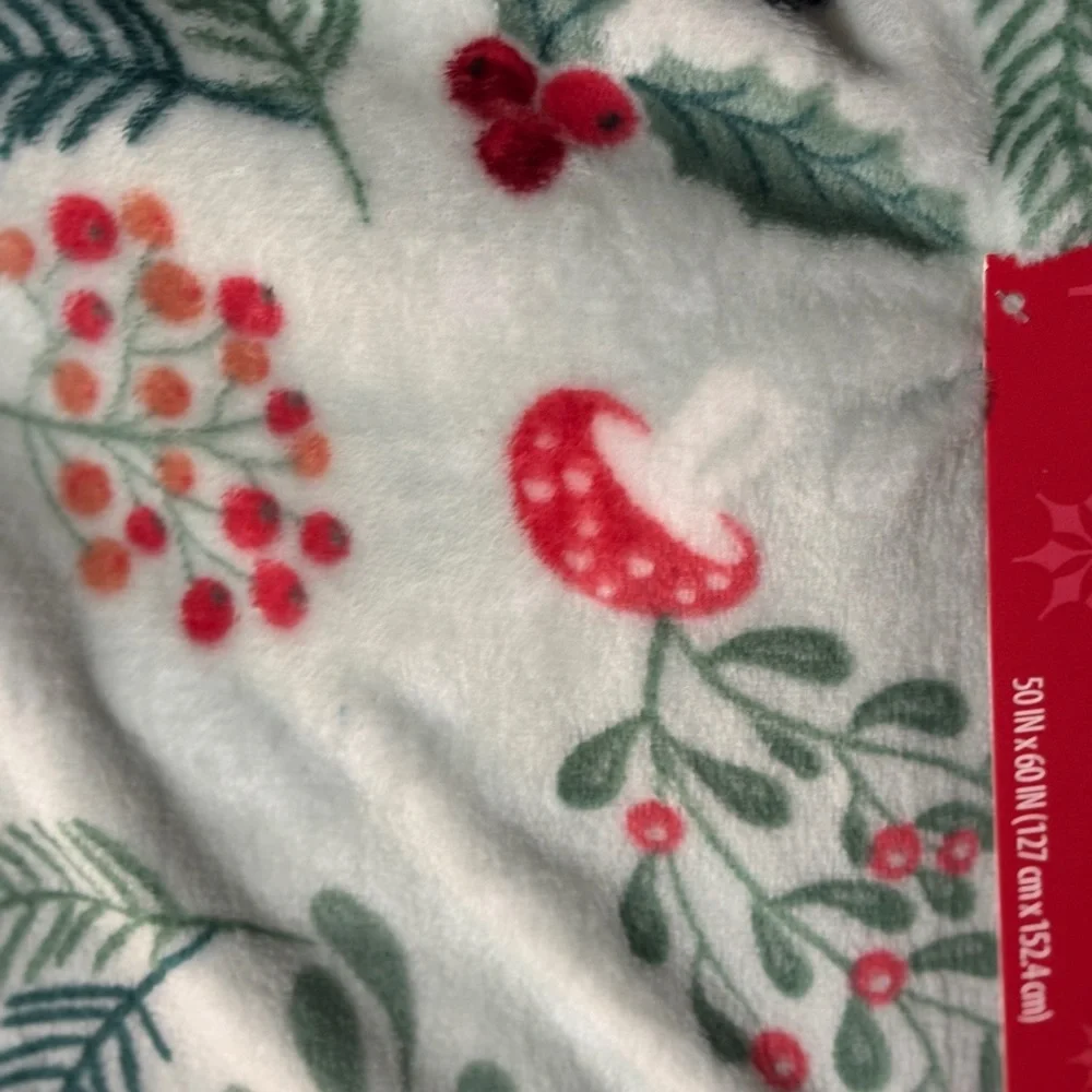 Holiday Time Festive Velvet Plush Throw - Red and Green